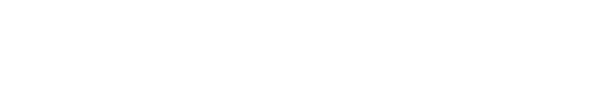 NEC Projektör Servisi